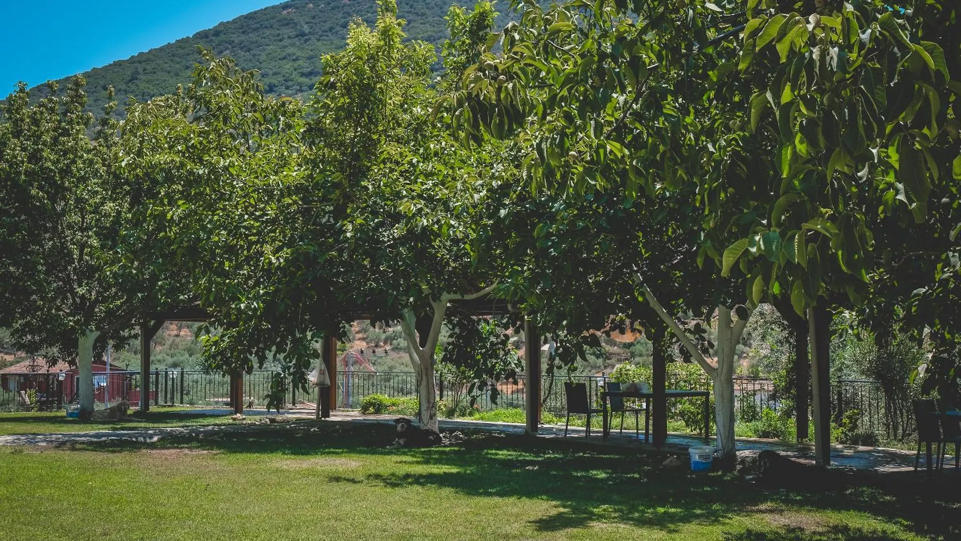 Natureland Efes Pension Selcuk