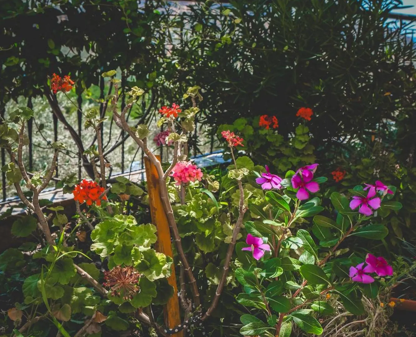 Natureland Efes Pension Selcuk Aparthotel